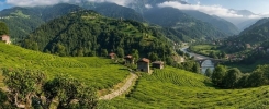 Rize Gezilecek Yerler Yaylalar