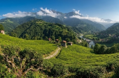 Rize Gezilecek Yerler Yaylalar